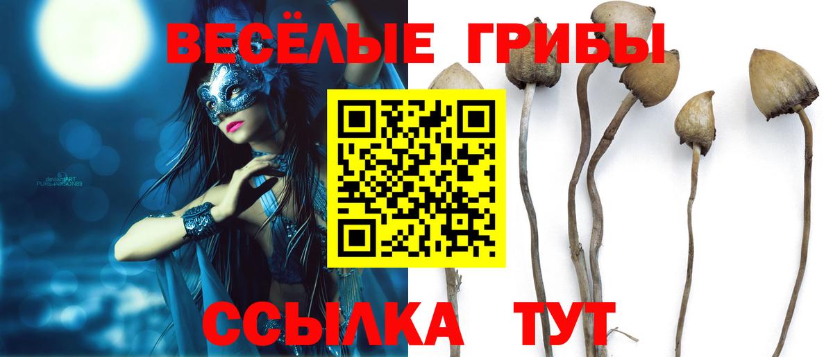 Фролово  Галлюциногенные грибы мицелий  Вход с VPN  Галлюциногенные грибы Magic Shrooms 